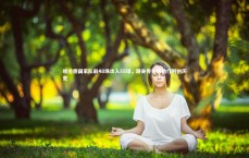 米兰体育官网_哈兰德国家队前48场攻入55球，跻身传奇穆勒行列创历史