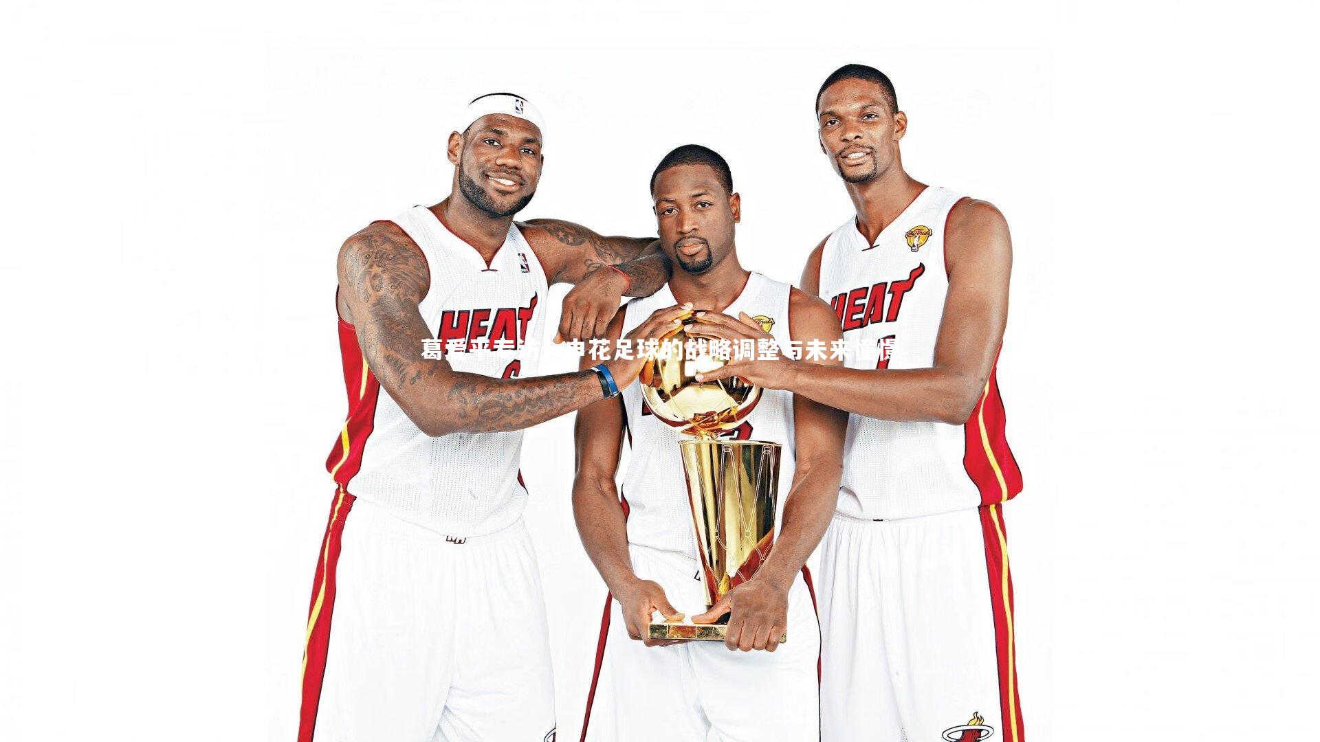 葛爱平专访,申花足球的战略调整与未来憧憬